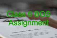 Class 6 BGS Assignment