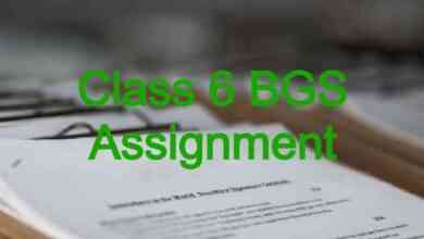 Class 6 BGS Assignment