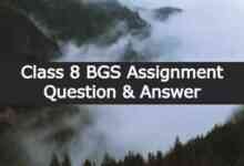 Class 8 BGS Assignment Question & Answer